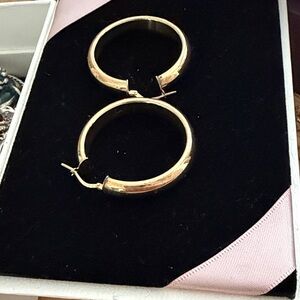 Elegant Gold Hoop Earrings
